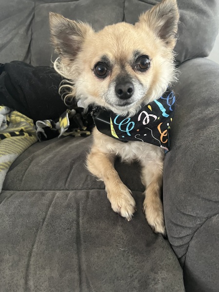 Entry image for Bailee. Clicking this image will show a larger photo