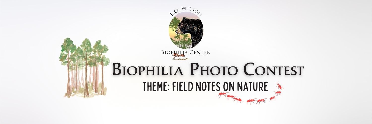 Banner for Biophilia Photo Contest: Notes on Nature