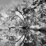 Entry image for Quiet Morning 