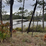 Entry image for Nature‘s Way