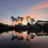 Entry image for Bayou Pines