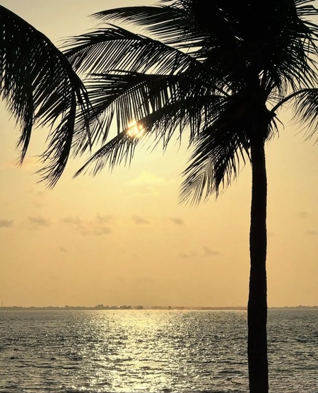 Entry image for A Canvas of Color. Clicking this image will show a larger photo