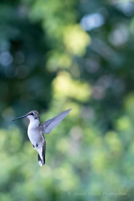 Entry image for The Daily Visit. Clicking this image will show a larger photo