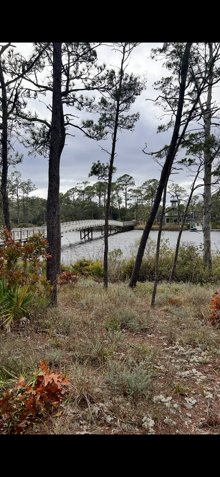 Entry image for Nature‘s Way. Clicking this image will show a larger photo