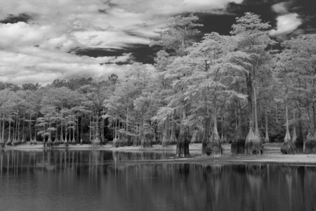 Entry image for Cypress lake. Clicking this image will show a larger photo
