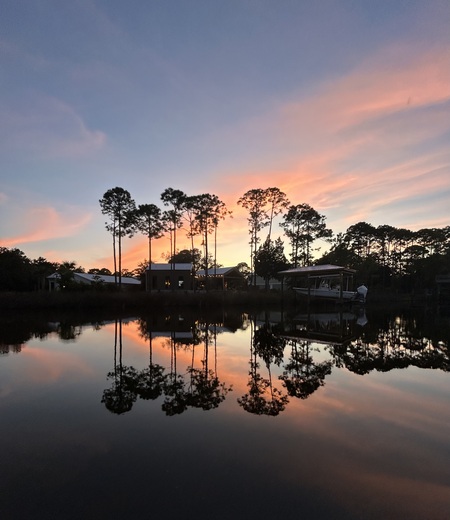 Entry image for Bayou Pines. Clicking this image will show a larger photo