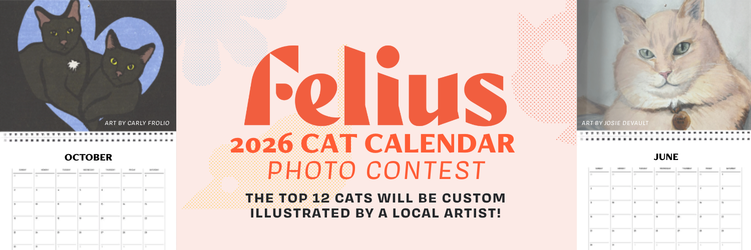 Banner for 2026 Cat Calendar Photo Contest