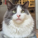 Entry image for Larry