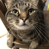 Entry image for Sebastian