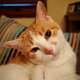 Entry image for Ginny 