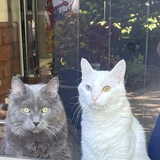 Entry image for William & Harry