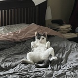 Entry image for Roger