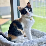 Entry image for Sprout