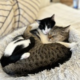 Entry image for Betty and Lou