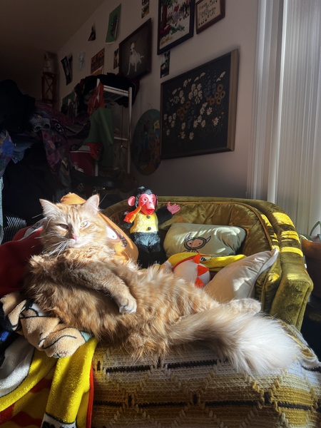 Entry image for Georgie. Clicking this image will show a larger photo