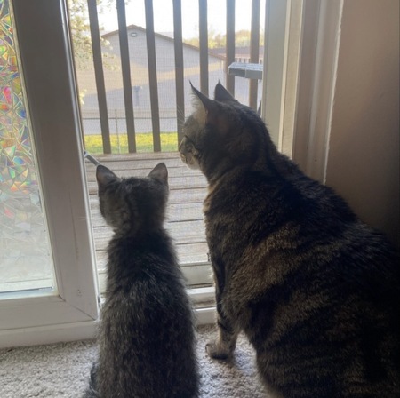 Entry image for Jolene and Jasper. Clicking this image will show a larger photo