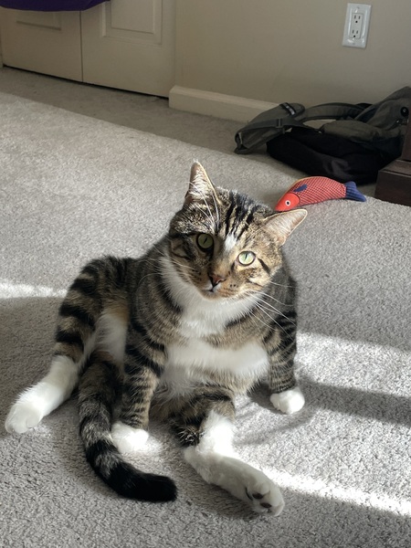 Entry image for Rumble. Clicking this image will show a larger photo