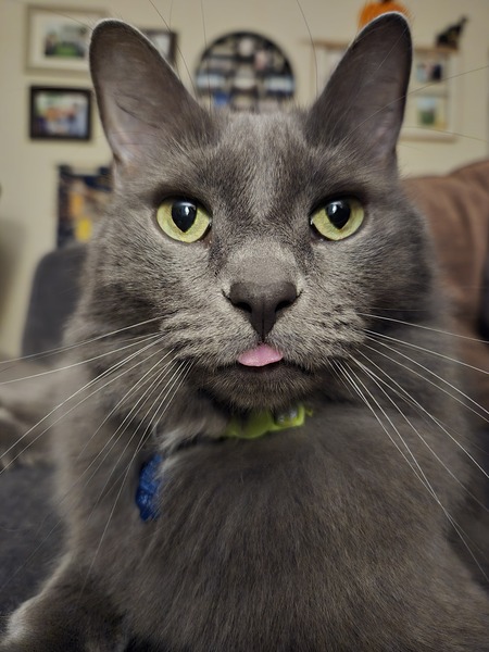 Entry image for Max. Clicking this image will show a larger photo