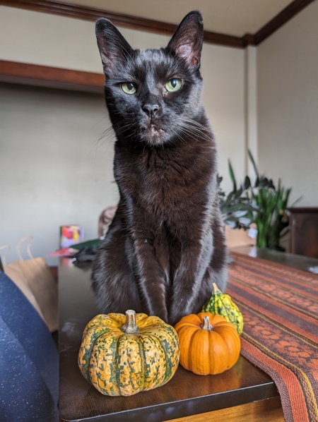 Entry image for Moe . Clicking this image will show a larger photo