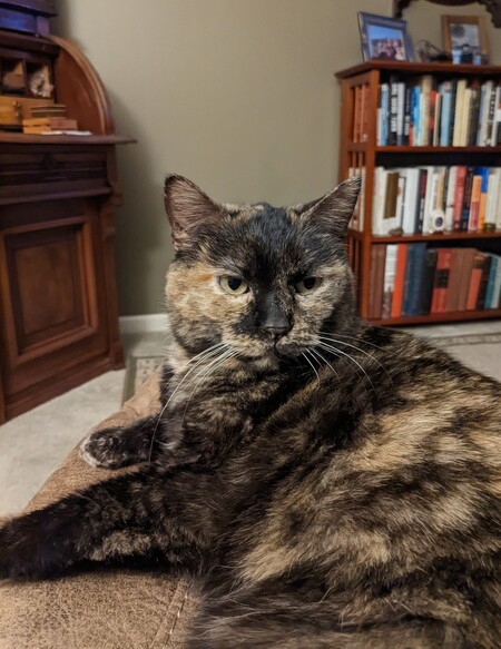 Entry image for Pinot Butter. Clicking this image will show a larger photo