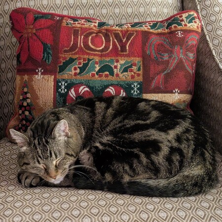 Entry image for Riesling. Clicking this image will show a larger photo