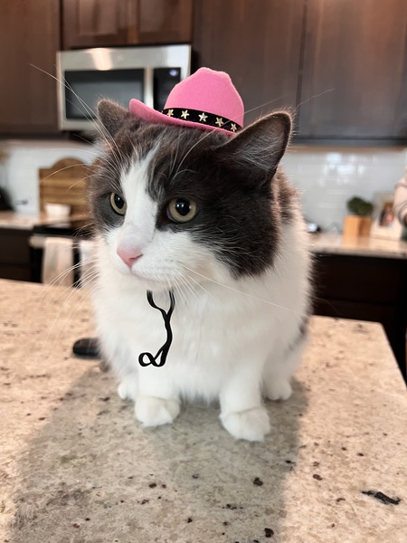 Entry image for Lana. Clicking this image will show a larger photo