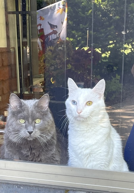 Entry image for William & Harry. Clicking this image will show a larger photo