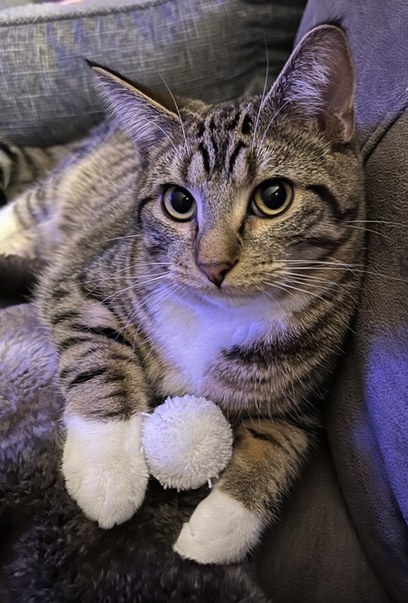 Entry image for Jack. Clicking this image will show a larger photo