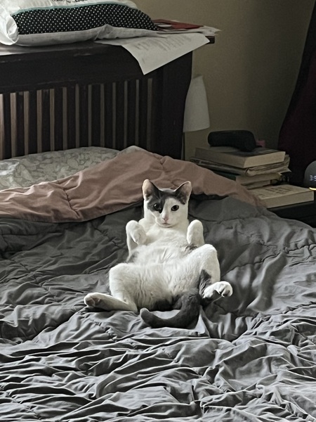 Entry image for Roger. Clicking this image will show a larger photo