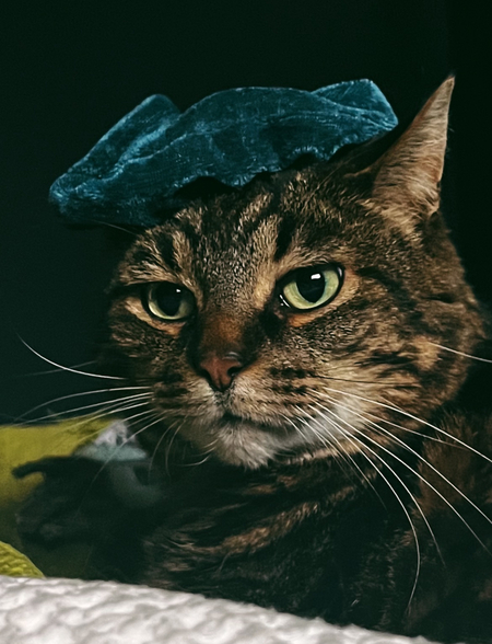 Entry image for George. Clicking this image will show a larger photo