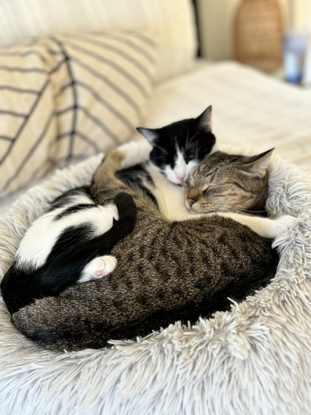 Entry image for Betty and Lou. Clicking this image will show a larger photo