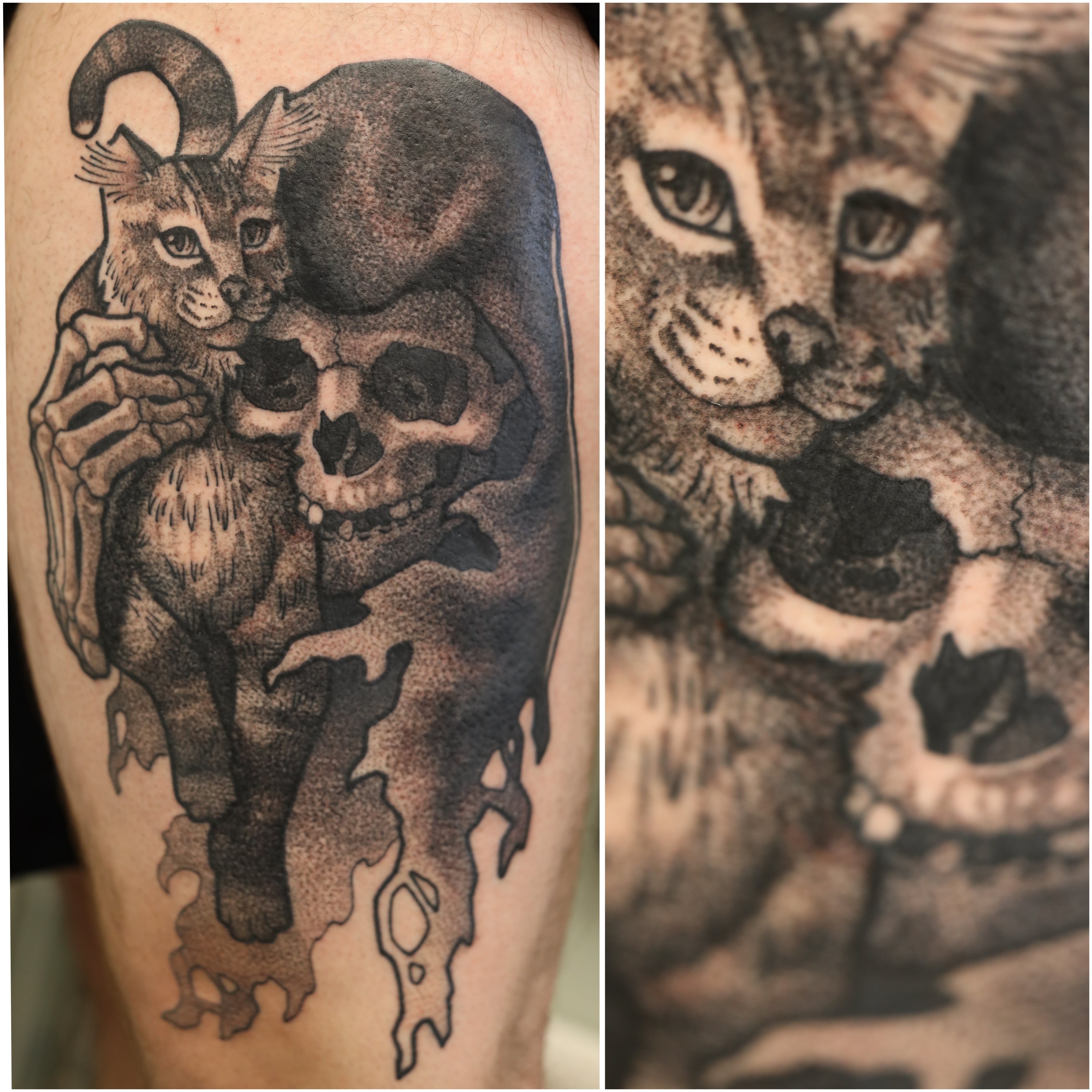 CatsClawTattoo
