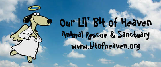 Logo for Dogs of 2026 - Calendar Photo Contest