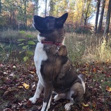 Entry image for Subwoofer 