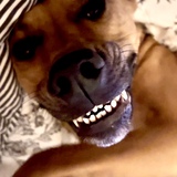 Entry image for Reginald Duckworth Hennypenny