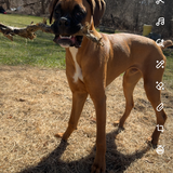 Entry image for Marlin