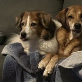 Entry image for Mercy & Fannie