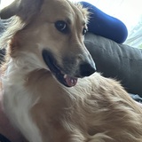 Entry image for Lucy