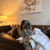 Entry image for Dutton