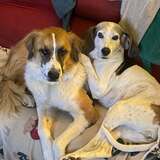 Entry image for Clarabelle & Rory