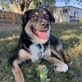 Entry image for Charlie