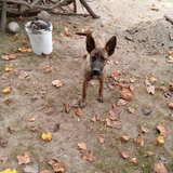 Entry image for Little Bitty 