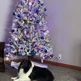 Entry image for BANDIT