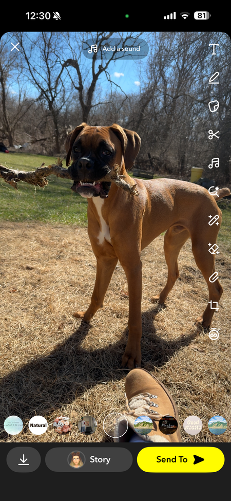 Entry image for Marlin. Clicking this image will show a larger photo