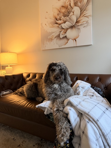 Entry image for Dutton. Clicking this image will show a larger photo