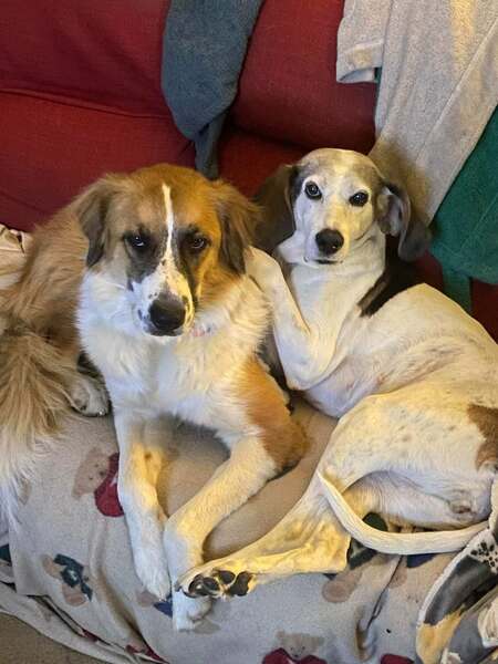 Entry image for Clarabelle & Rory. Clicking this image will show a larger photo