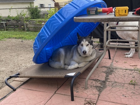 Entry image for Max. Clicking this image will show a larger photo