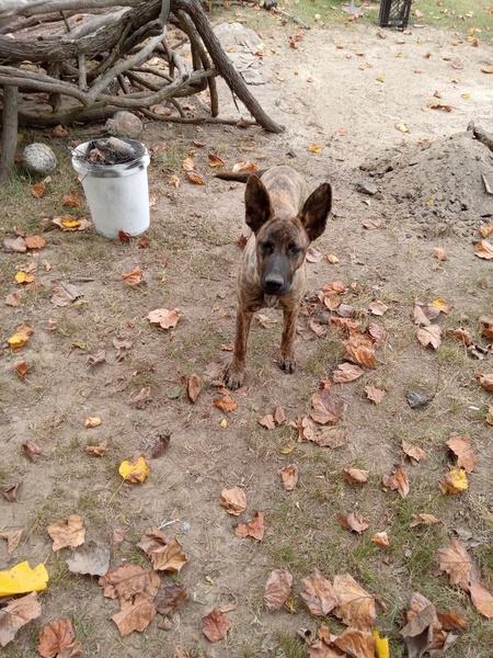 Entry image for Little Bitty . Clicking this image will show a larger photo