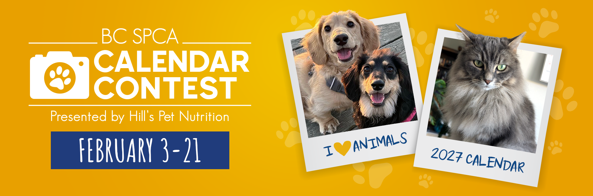 Banner for BC SPCA Calendar Contest