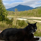 Entry image for Diablo